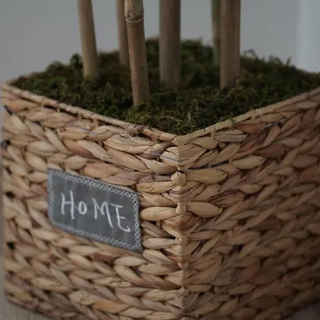 13°bs*toptani/city Center Apartment Tirana